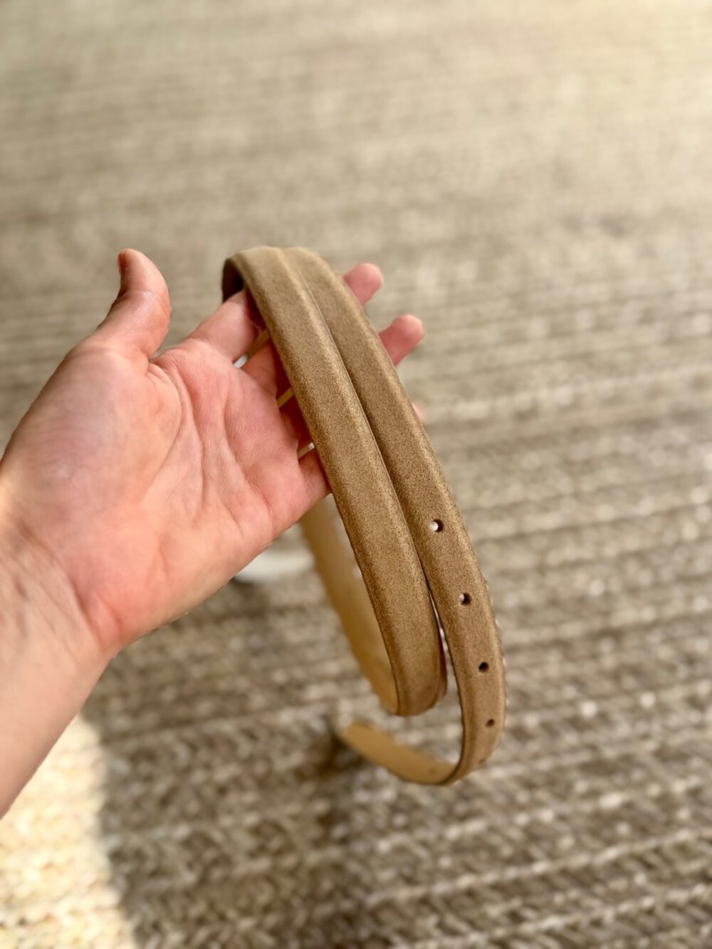 NWT Madwell Domed-Buckle Belt in Walnut Shell